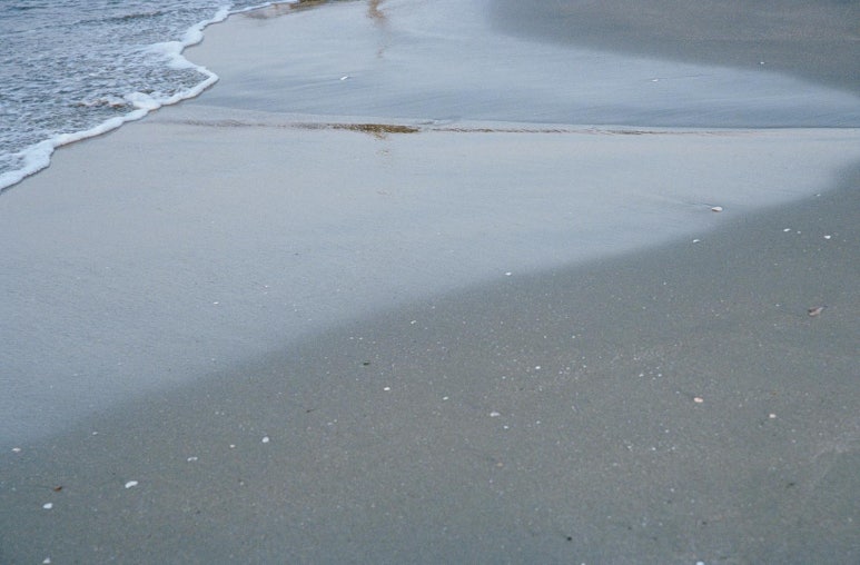 [나나미카] 2026 블랙오션 바이브